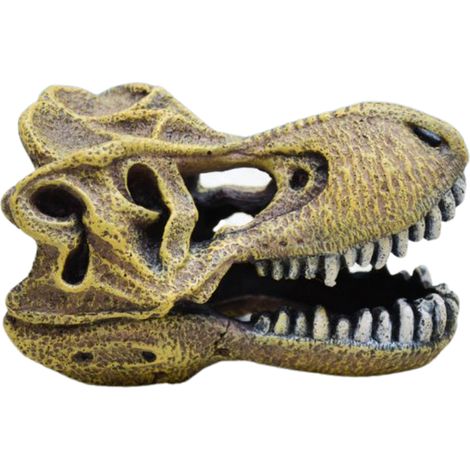 Amtra Tyrannosaurus Schädel – Aquarium-Deko
