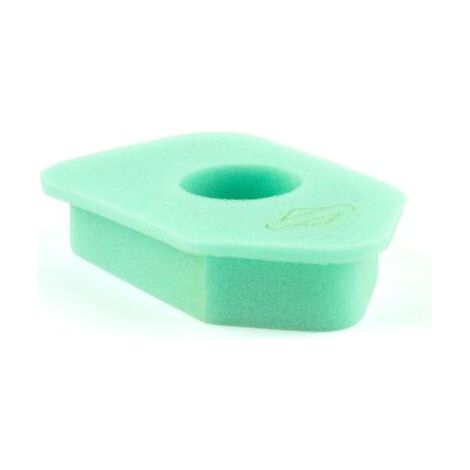 1 - Filtre à air - Mousse - Pour moteurs Briggs & Stratton - Protection contre saleté - Vert - 17,1 x 22,9 x 0,6 cm