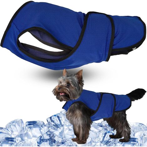 Gilet rafraîchissant pour chien – Veste légère pour chien, taille S, avec fermeture éclair et velcro pour un enfilage et un retrait faciles, idéale pour les promenades, les voyages et les activités de (1/5)