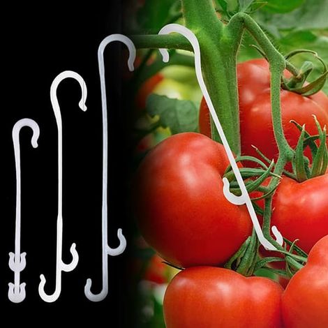 Ecleanfy - 100 crochets à tomates de 9,5/13/16 cm pour soutenir les plants de tomates et éviter qu'elles ne soient écrasées. (1/5)