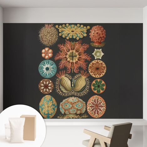 Papier peint intissé mural avec imprimé motifs uniques apparence moderne - Colle incluse gratuite Inspirations marines 152x104 cm (1/5)