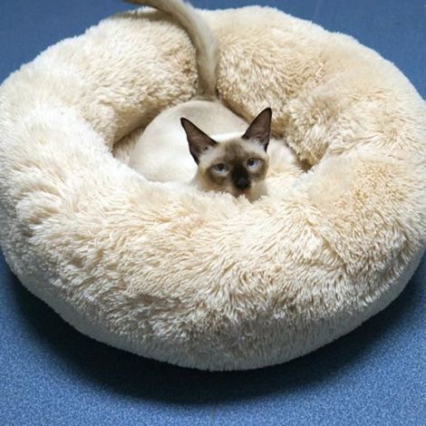 Coussin pour animaux de compagnie 50cm en peluche douce S beige - Lit confortable pour chien et chat (1/4)
