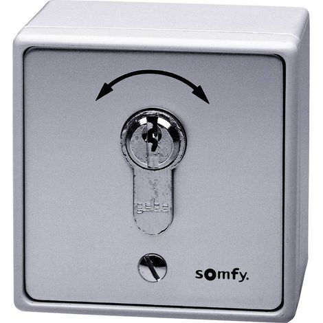 Somfy 1871148 Pulsante a chiave per apricancelli Da incasso, Da parete