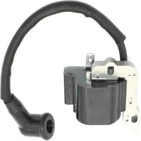 Bobine d'Allumage Haute Tension Compatible avec 753-06420 (1/5)