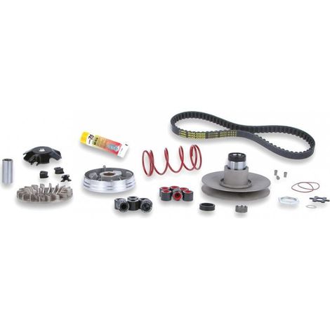 Variator Malossi für Roller Yamaha 50 vino 6112812 / over range