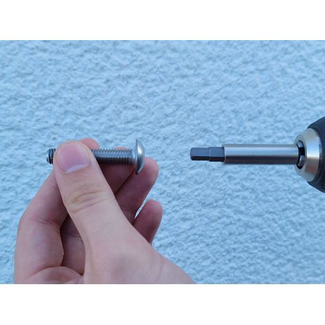 Projahn Schraubendreher-Einsatz 5,5 mm (Bits für Innensechskant Schrauben) (1/2)