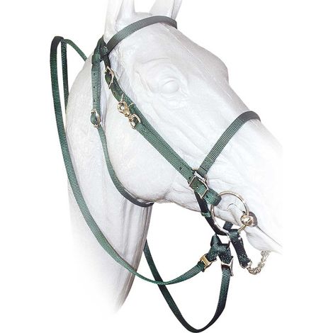 Full, blu: Briglia Hamilton western in nylon completa di redini e barbozzale