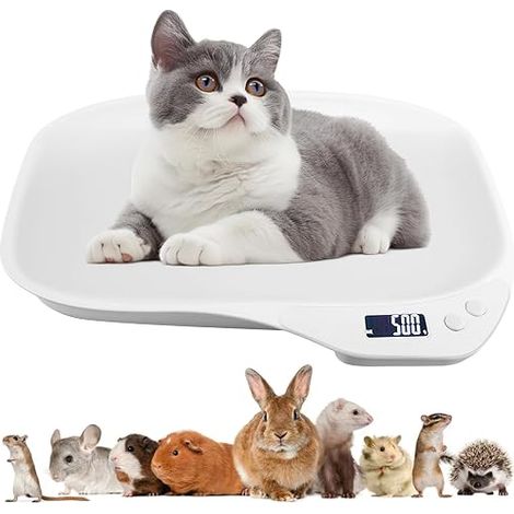 Balance Pour Animaux, 15 Kg Balance Numérique Pour Animaux, Pèse-Personne Numérique, Mini Balance Numériques, Balance Pour Chat, Balance Pour Chien, Pour Chaton, Chiot, Hamster