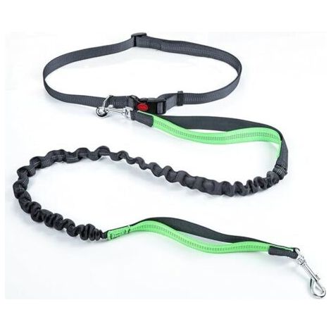 Laisse pour chien avec ceinture réglable, laisse de course et de jogging pour chien (1/5)