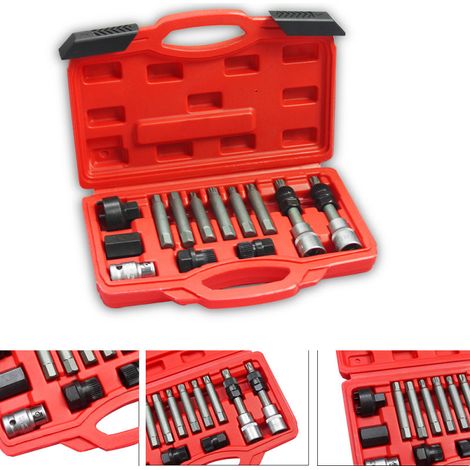 SWANEW Set di smontaggio per pulegge alternatore disinnestabili 13 pezzi (1/5)