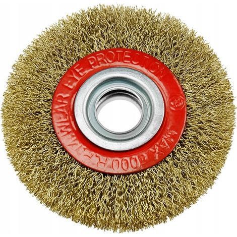 Brosse à disque métallique 125 mm, alésage 20 mm, mo (1/3)
