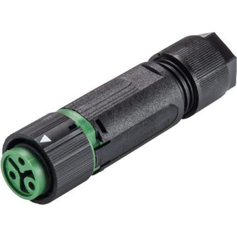 Wieland-electric RST® MINI Rundstecker 3-polig laubgrün