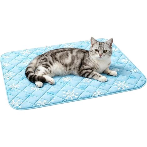 Tapis Rafraîchissant pour Chien Couverture Imperméable Antidérapante pour Coussin Rafraîchissant pour Chat Pour Caisse Voiture Canapé Sol Lit Été Extérieur Intérieur (1/5)