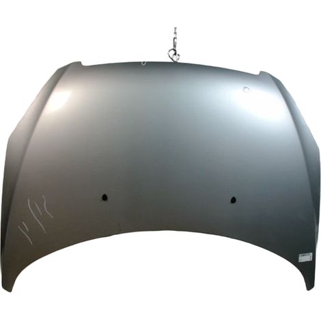 Capot PEUGEOT 307 [PRODUIT D'OCCASION]♻️7901j0 (1/3)