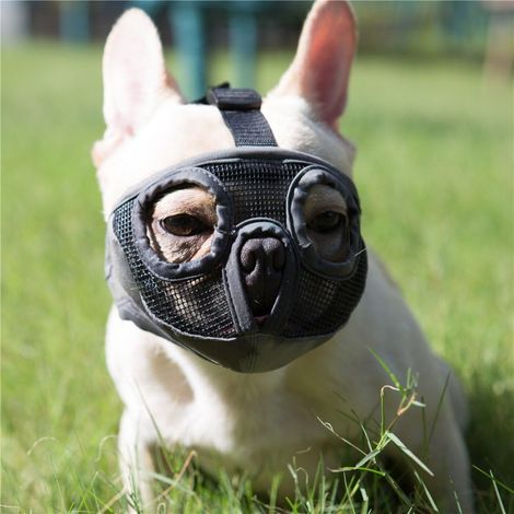 Filiyano-Muselière courte pour chien - Muselière ajustable en maille respirante pour bouledogues (1/4)