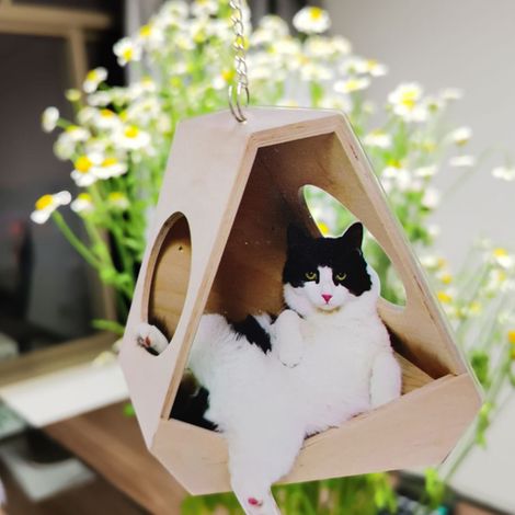 Ornements suspendus pour voiture en forme de chat avec pendentif ballon coloré, décoration intérieure pour voiture (1/5)
