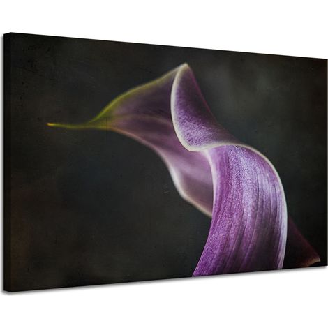 Leinwanddruck „Lila Blütenblatt“, 120 x 80 cm