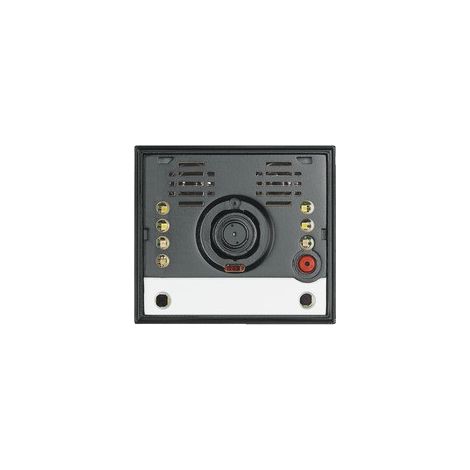 Module de caméra anti-vandalisme accessoire BTICINO BT308032
