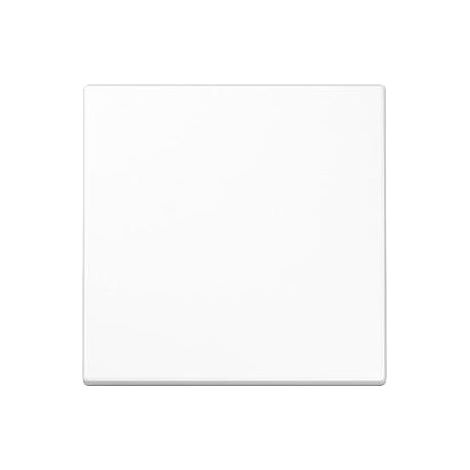 Jung STEUERTASTE STANDARD (LS1700WW) (1/5)