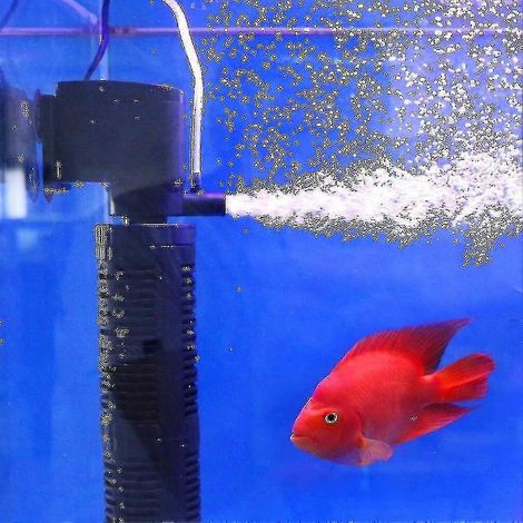 Purificateur d'eau 3 en 1 silencieux avec aération, pompe interne, filtre d'aquarium submersible et pompe à oxygène - Submersi-Excellent (1/5)