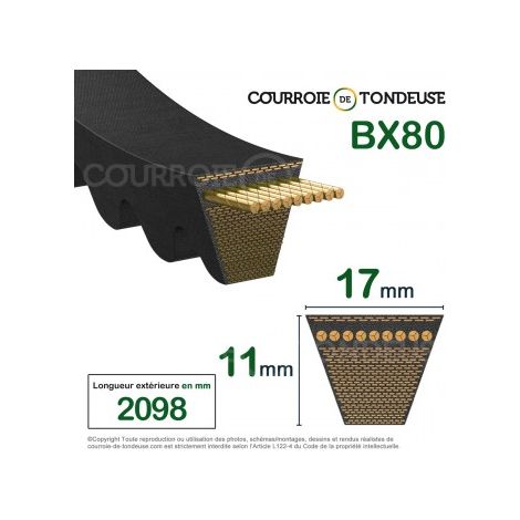 Courroie type trapézoïdale crantée BX80