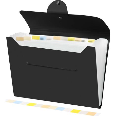 Trieur A4 avec 12 Compartiments et Étiquettes, Noir Pochette Accordéon A4 Extensible en PP Résistant à l'Eau, pour Classer les Documents à l'École, au Bureau et à la Maison (1/5)