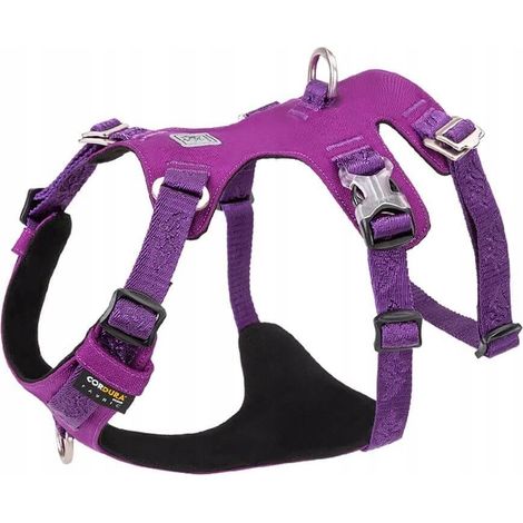 Pettorina antifuga per cani GUARD Winhyepet XXS (1/5)