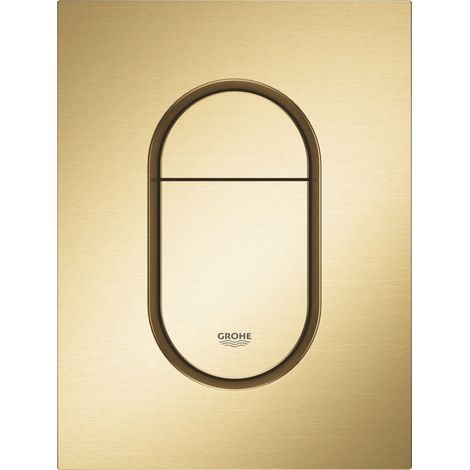 Plaque De Recouvrement Pour Chasse Double Et Commande Marche/Arret, Finition Or Brossé (1/3)