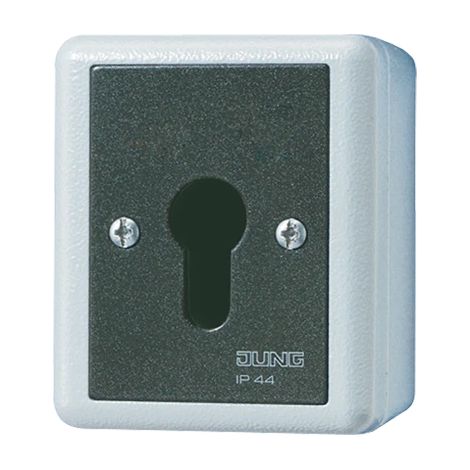 Jung Interruptor de llave, interruptor universal apagado-conmutado, 2 polos, IP 44, WG 800 806.28 G