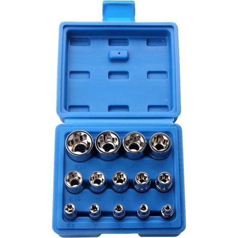 (130x57x115mm) Lot de 14 douilles Torx femelles E4-E24 hexagonales (1/3)