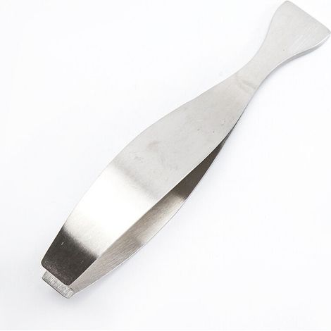 Pince À Poisson - Acier Inoxydable 18/10 - Courbée - 13 Cm - Pour Retrait Précis Des Arêtes - 1 Pièce