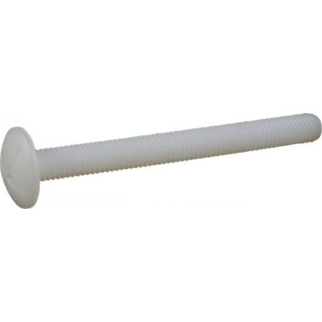 100 Vis Tête Ronde Large Poelier Fendue 6 x 50 mm - TYPE NFE 25129 - Nylon 6.6 - D-Work