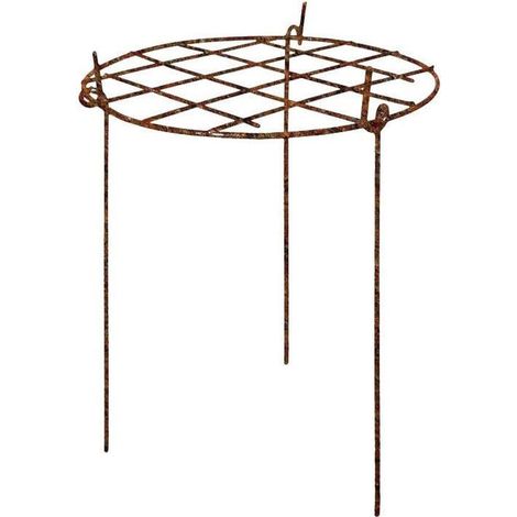 Plant Support Raw Grow Through Round Pack Of Three Garden Pride