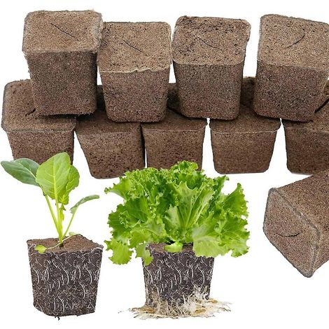 50 éponges hydroponiques pour semis, clones et boutures, favorisant un enracinement rapide des plantes et des fleurs. (1/5)