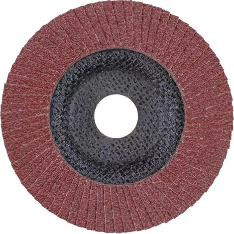 Fächerscheibe pferd pff hohe Abtragsleistung 125 mm