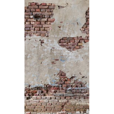 BRICOFLOR Papier peint The Wall II 392351 (1/3)