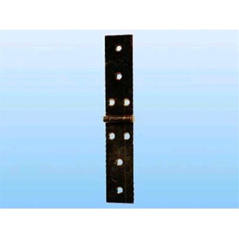 Cerniera piana lunga Art. 20 - mm. 100x25 - Spessore 1,0 Conf. 20 Pz