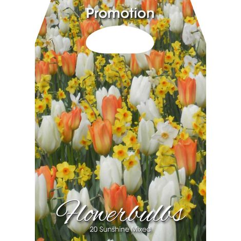 Mix Bulbi da Fiore Sunshine 20 Bulbi