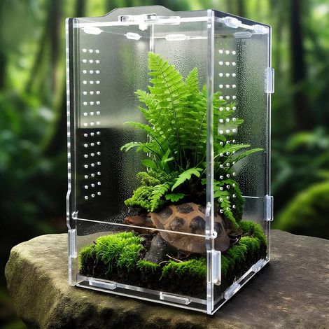 Faunarium, Insektenterrarium, Acryl-Terrarium, Allzweckbehälter für Reptilien, Amphibien, Sprungspinnen, Vogelspinnen, Schnecken, Frösche und Insekten, 20 x 12 x 11 cm (1/5)