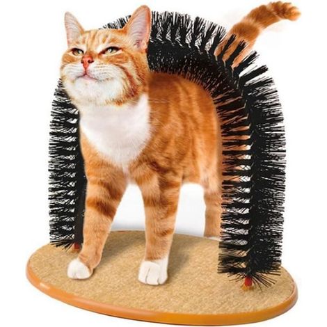 griffoir chats peigne chat brosse jouets chat pour chaton (1/4)