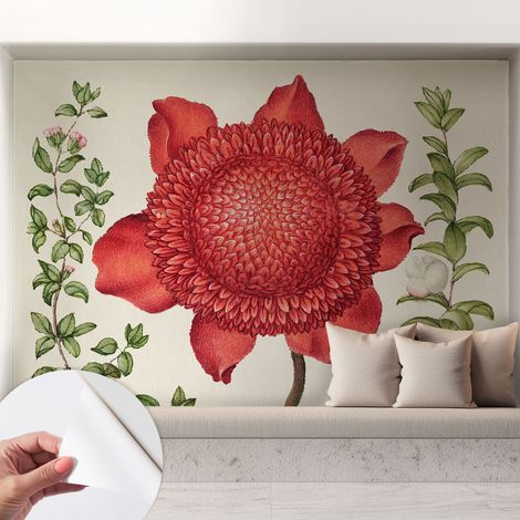 Fotomurale adesivo stickers - murali decorativo - soggiorno moderno - effetto realistico - Eleganza floreale 208x146 cm (1/5)