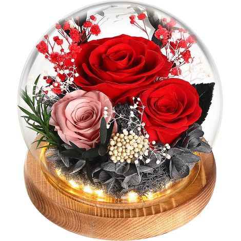 Rose Eternelle sous Cloche, Idee Cadeau Femme Maman Copine Noel Saint Valentin Fete des Meres Anniversaire Cadeau St Valentin Femme (1/5)