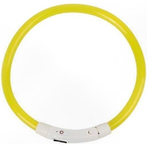 Collier pour chien avec LED clignotante rechargeable USB et lumière de sécurité nocturne (1/5)
