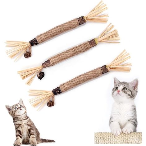 Bâtonnets Herbe à Chat, Bâtonnets à mâcher pour Chats, bâtonnets à mâcher pour Chats pour l'hygiène Dentaire et Contre la Mauvaise haleine (1/5)