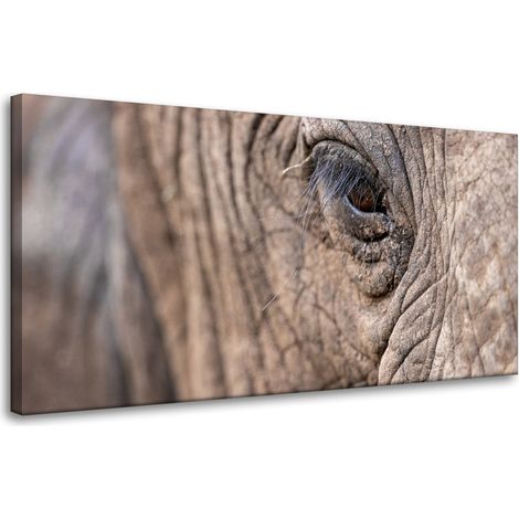 Lienzo impreso con la imagen de un elefante (80x40 cm)