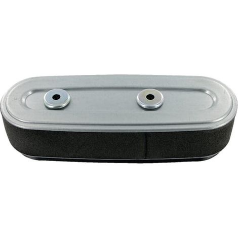 Filtre MTD 3011M60020