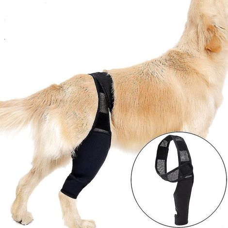 Genouillère pour chiens souffrant de rupture du LCA, de luxation de la rotule ou d'arthrite : maintient l'articulation au chaud, réduit la douleur et l'inflammation. (1/4)