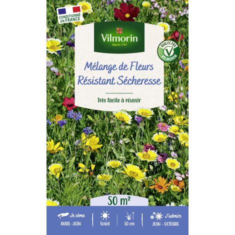 Vilmorin Fleurs Terrain Sec - 50 m² - Mélange de fleurs (1/2)