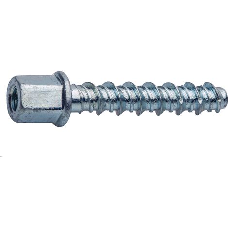 Tire-fond RS PRO M8 x 55mm ( Prix pour Sachet de 50 )