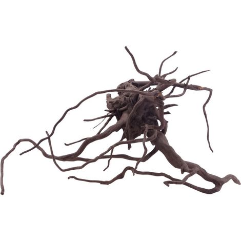 XL Black Spider Wurzel Nr.5252 Fingerwurzel Echtholz Deko Aquascaping